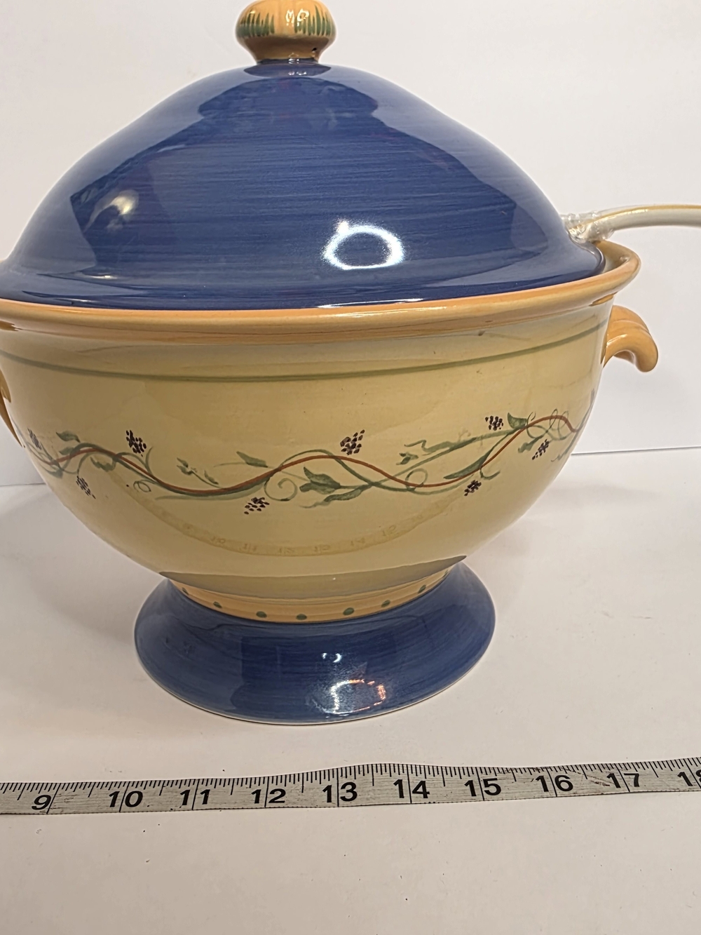 Pfaltzgraff The Secrets of Pistoulet Soup Tureen w/ Lid & Ladle Jana Kolpen